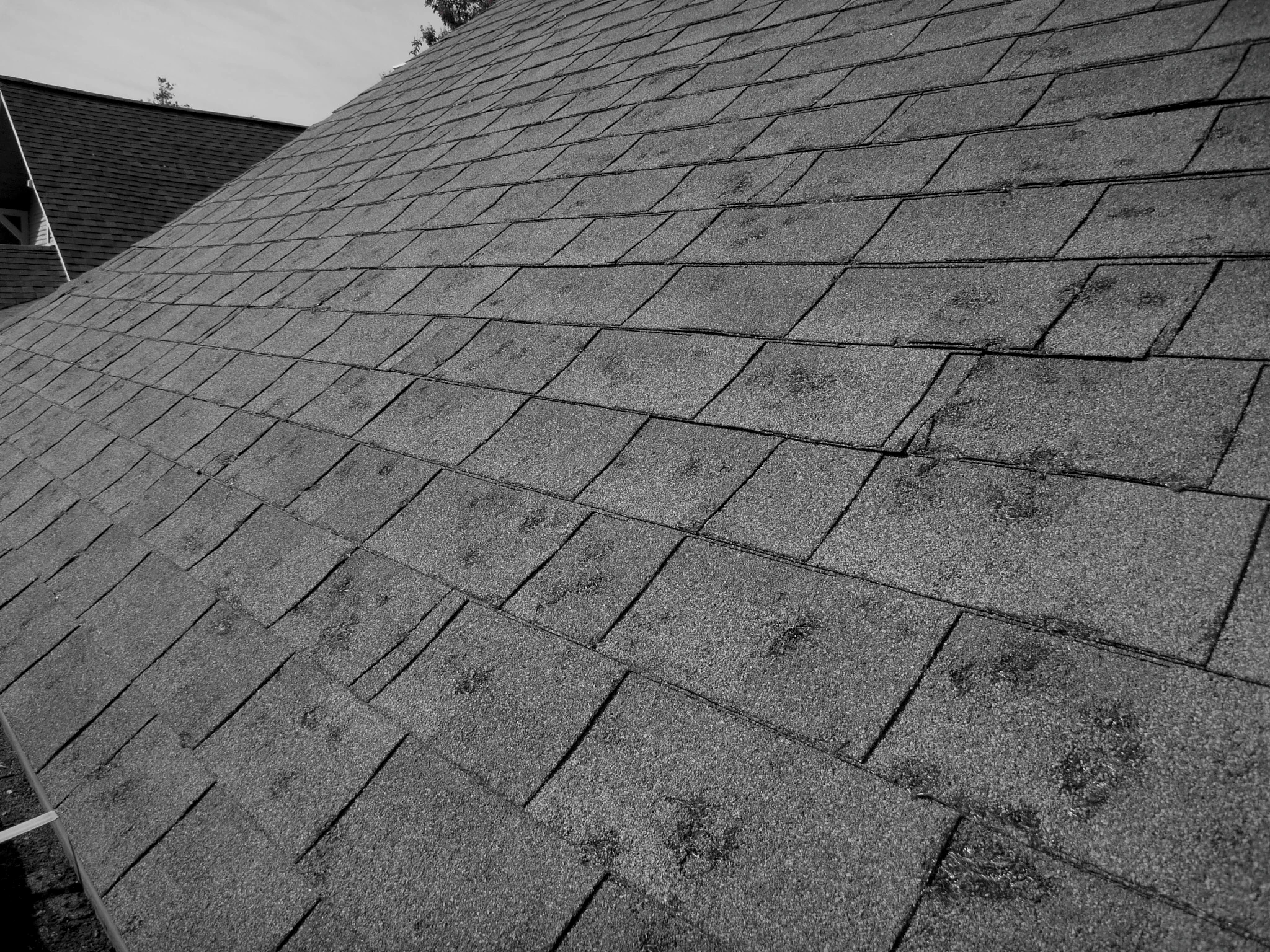 Hail damaged roof showing impact damage